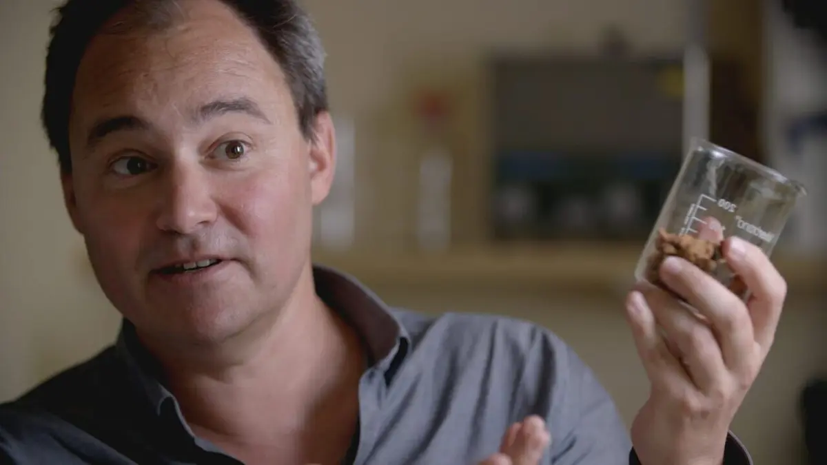 Portés disparus La cité d'or interdite