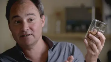 La cité d'or interdite