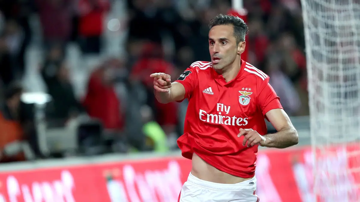 Portimonense / Benfica Lisbonne Football Championnat du Portugal 2018/2019