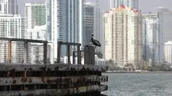 Ports d'attache S03E00 Miami