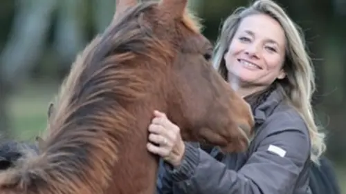 Portugal, le jardin des rois