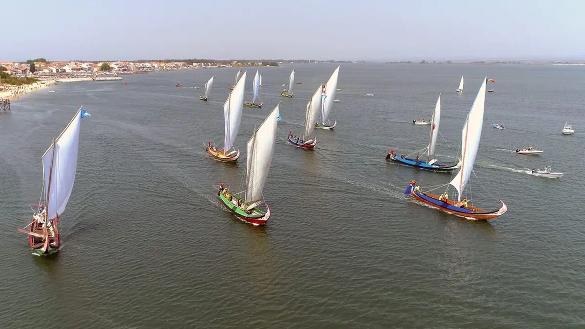 Portugal, les régates de moliceiros