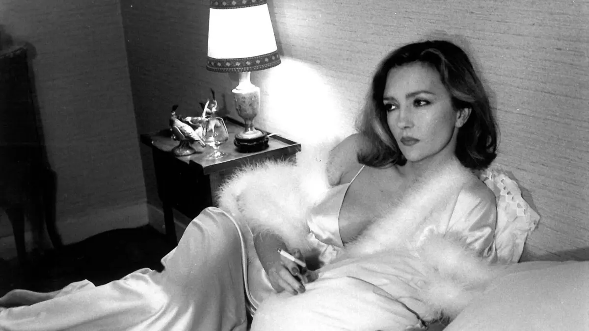 Visuel de Poulet au vinaigre