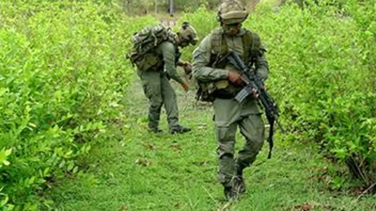 Pour en finir avec la guerre des drogues