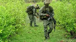 Visuel de Pour en finir avec la guerre des drogues