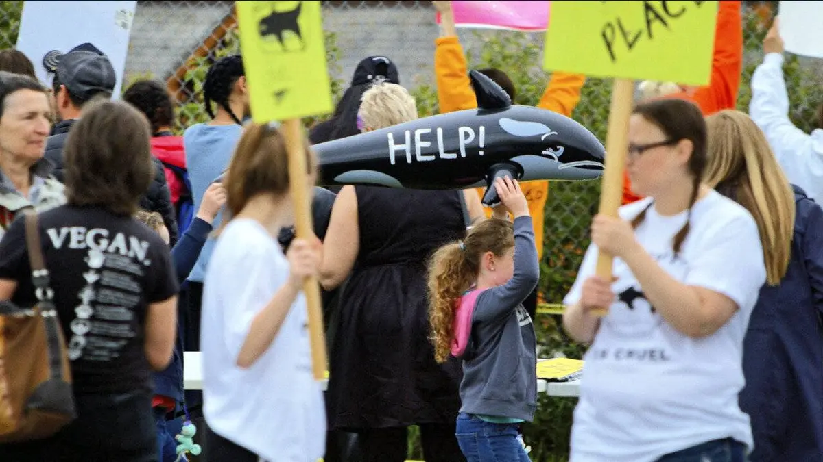 Pour l'amour d'un morse