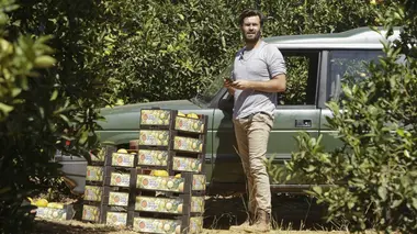 Pour l'amour de Louisa