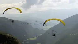 Pour l'amour des oiseaux