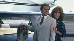 Pour l'amour du risque S04E09 Une veuve chasse l'autre