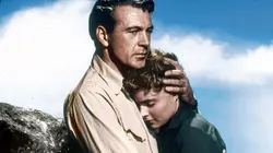 Sur TCM Cinéma à 20h50 : Pour qui sonne le glas ?