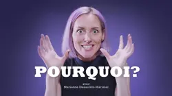 Pourquoi ?