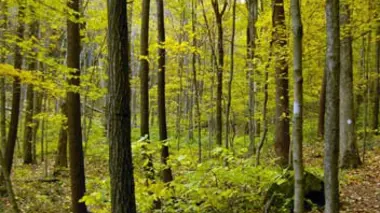 La traversée des Vosges (3/4)