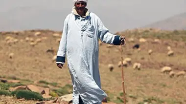 Marcher pour ses troupeaux