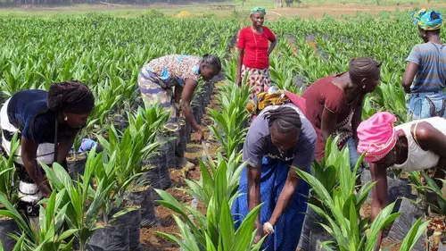 Pourquoi la faim, pourquoi la soif ?