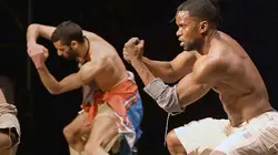 Visuel de Pourquoi nous battons-nous ? La douceur de la violence