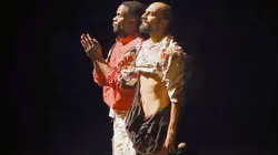 Pourquoi nous battons-nous ? La douceur de la violence