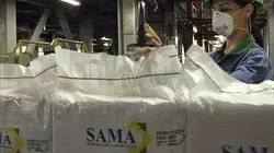 Visuel de Poussière mortelle