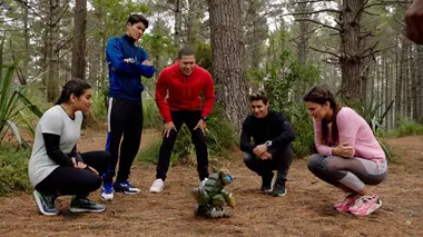 Power Rangers : Dino Fury S02E03 Perte de mémoire