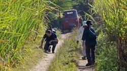 Prédateurs fous E02 Le léopard