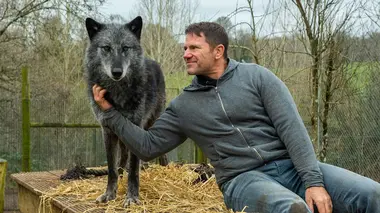 Un prédateur en puissance