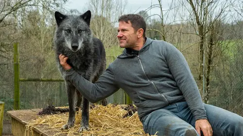 Prédateurs meurtriers Un prédateur en puissance