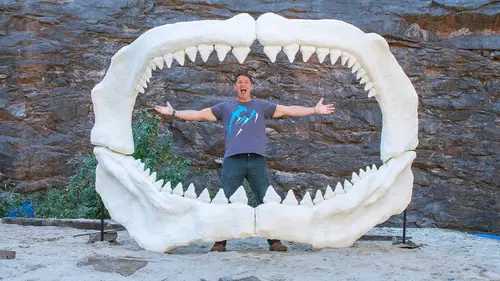 Prédateurs meurtriers Sens uniques