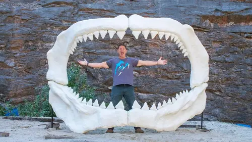 Prédateurs meurtriers