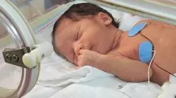 Prématurés : un combat pour la vie