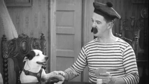 Première séance Chienne de vie