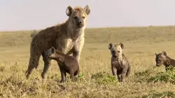 Premiers pas dans la savane Le temps des épreuves