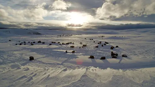 Premiers pas dans les Rocheuses