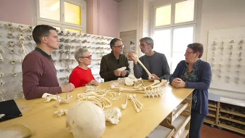 Casting Prenez soin de vous ! Vos articulations en forme olympique