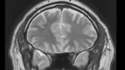 Press Enter to Finish the Day