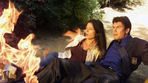 Preuve à l'appui S03E01 Expert ès meurtres