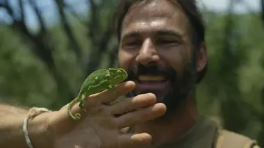 La vallée des géants
