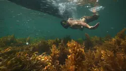 Primal Survivor: Extreme African Safari