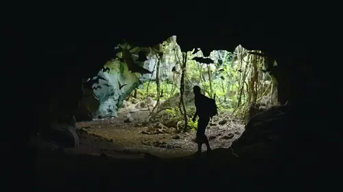 Primal Survivor: Extreme African Safari