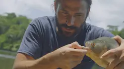Primal Survivor, l'aventurier de l'extrême S05E04 Les maîtres du feu