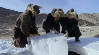 Mékong - L'or des forêts