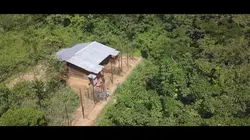 Primates en sursis, le combat d'Amandine