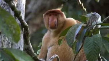 L'union fait la force