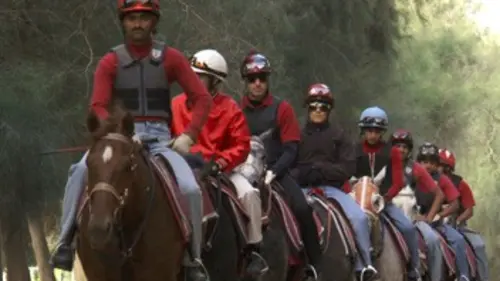 Prince du désert : le pur sang arabe de course