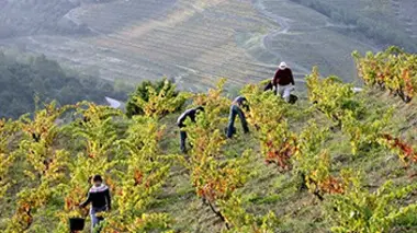 Priorat