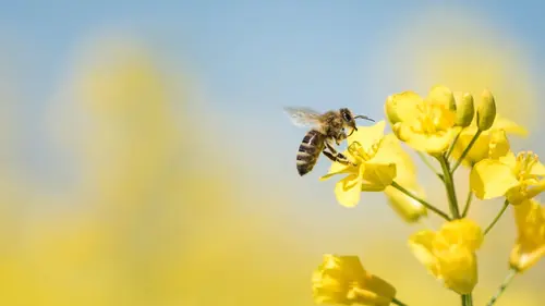 Pris sur le vif Défier la gravité
