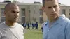 Michael Scofield dans Prison Break S01E04 Alchimie (2005)
