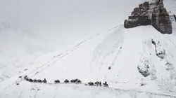 Visuel de Prisonniers de l'Himalaya