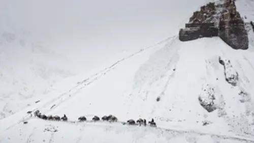 Prisonniers de l'Himalaya