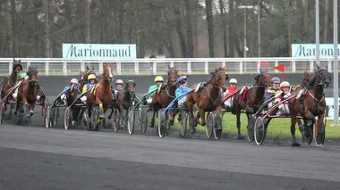 Prix d'Amérique