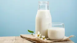 Produits laitiers, faut-il s'en passer ?