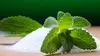 Produits lights : la vérité sur les faux sucres
